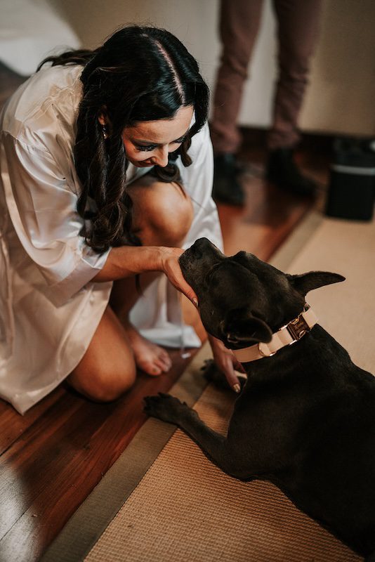 Bride-Mandy-getting-ready-with-her-pet-American-Staffordshire-Terrier.