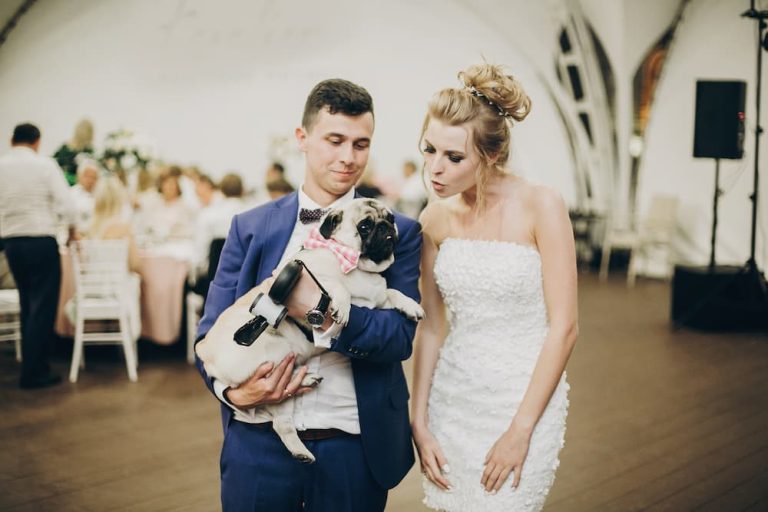 Bride and groom at reception cuddling pug dog in pink bow tie