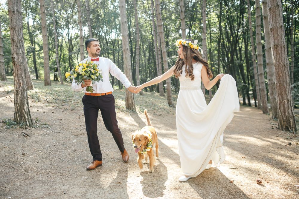 Bride and groom holding hands in forest with pet golden retriever