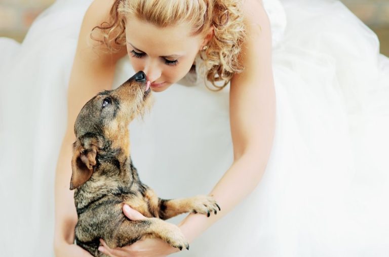 Bride in wedding dress kissing small pet dog