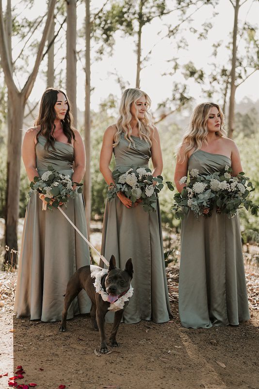 Bridesmaids-holding-pet-American-Staffordshire-Terrier-during-wedding-ceremony