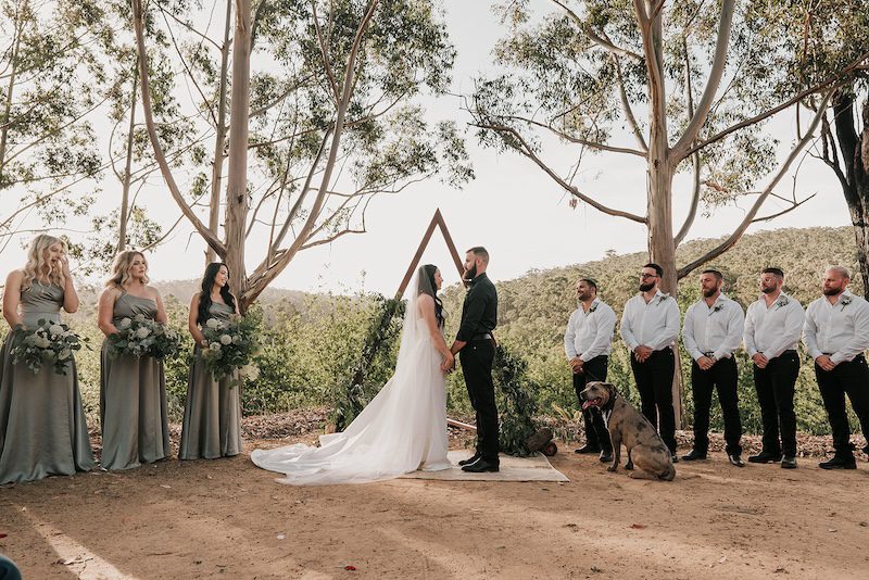 Entire-wedding-party-with-pet-dog-watching-couple-say-their-vows