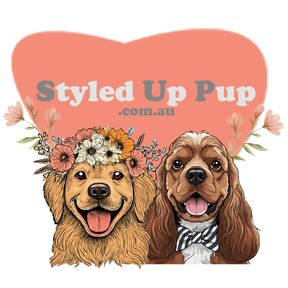 Styled Up Pup pet wedding handler lobo