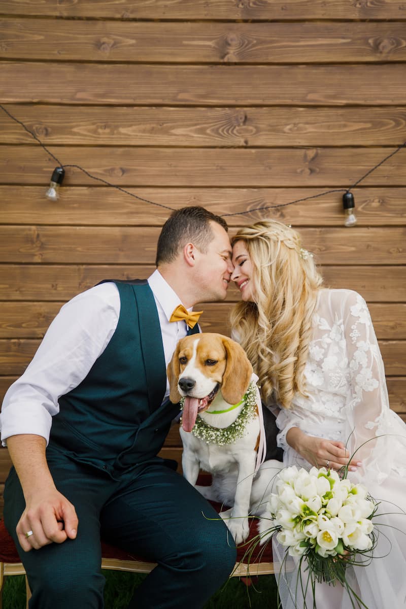 Happy newlyweds sitting closely with pet beagle sitting between them