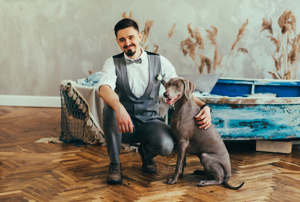 Male pet attendant in tuxedo with chocolate labrador