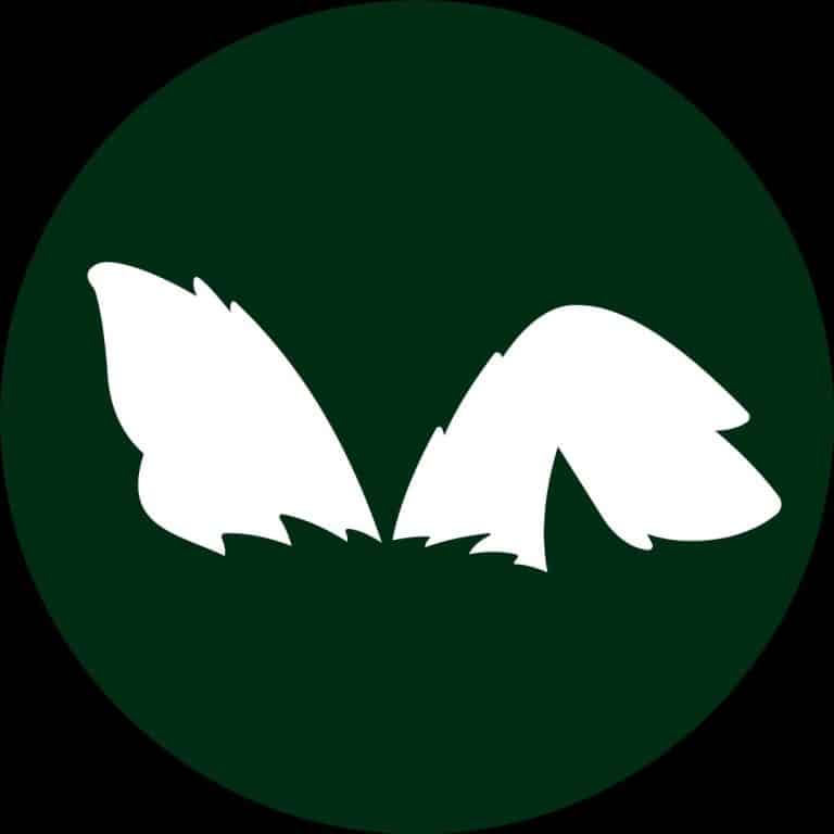 Paws For Celebration pet chaperone logo