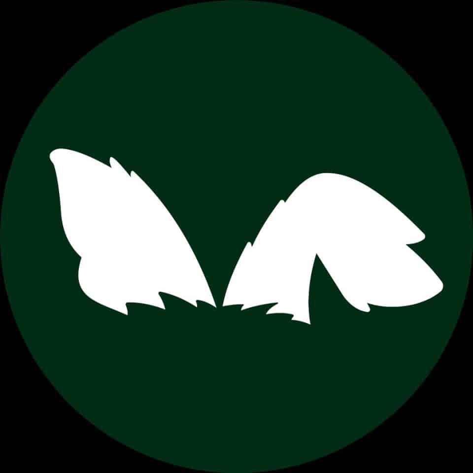 Paws For Celebration pet chaperone logo