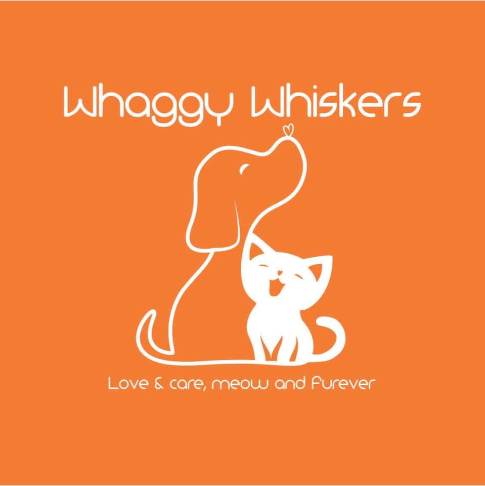 Whaggy Whiskers profile photo