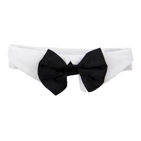 black satin dog bow tie and collar