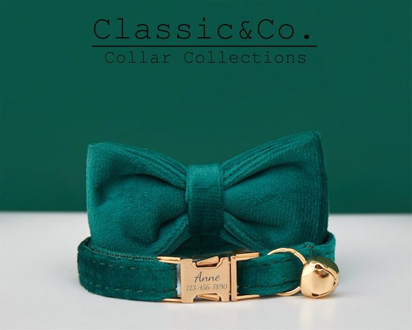 cat bow tie collar