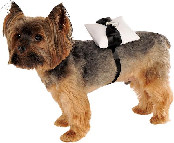 dog wedding ring bearer pillows