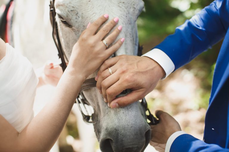 guide to including your horse in your wedding