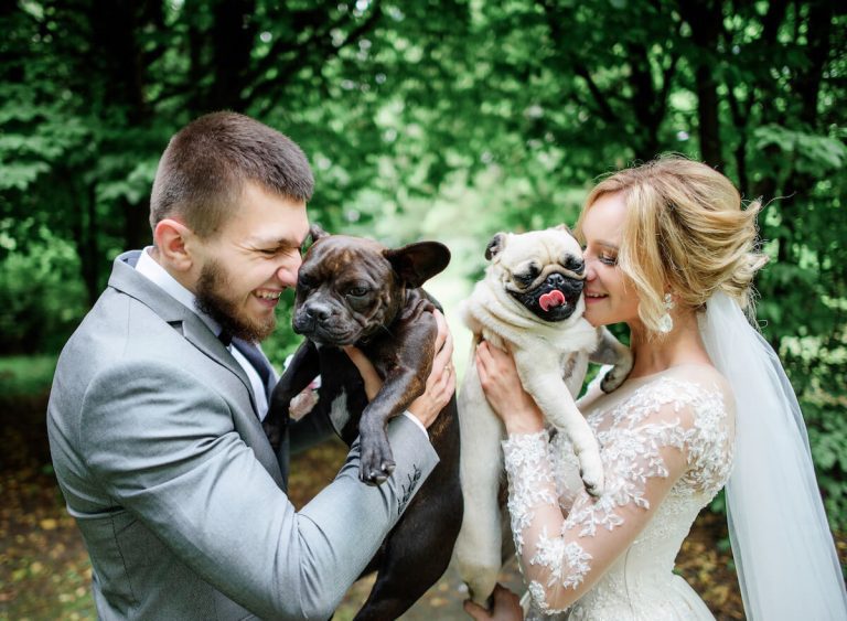 memorable and intimate dog-friendly wedding