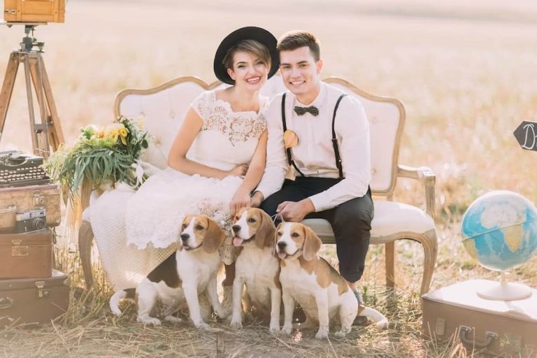 pet-friendly wedding venues